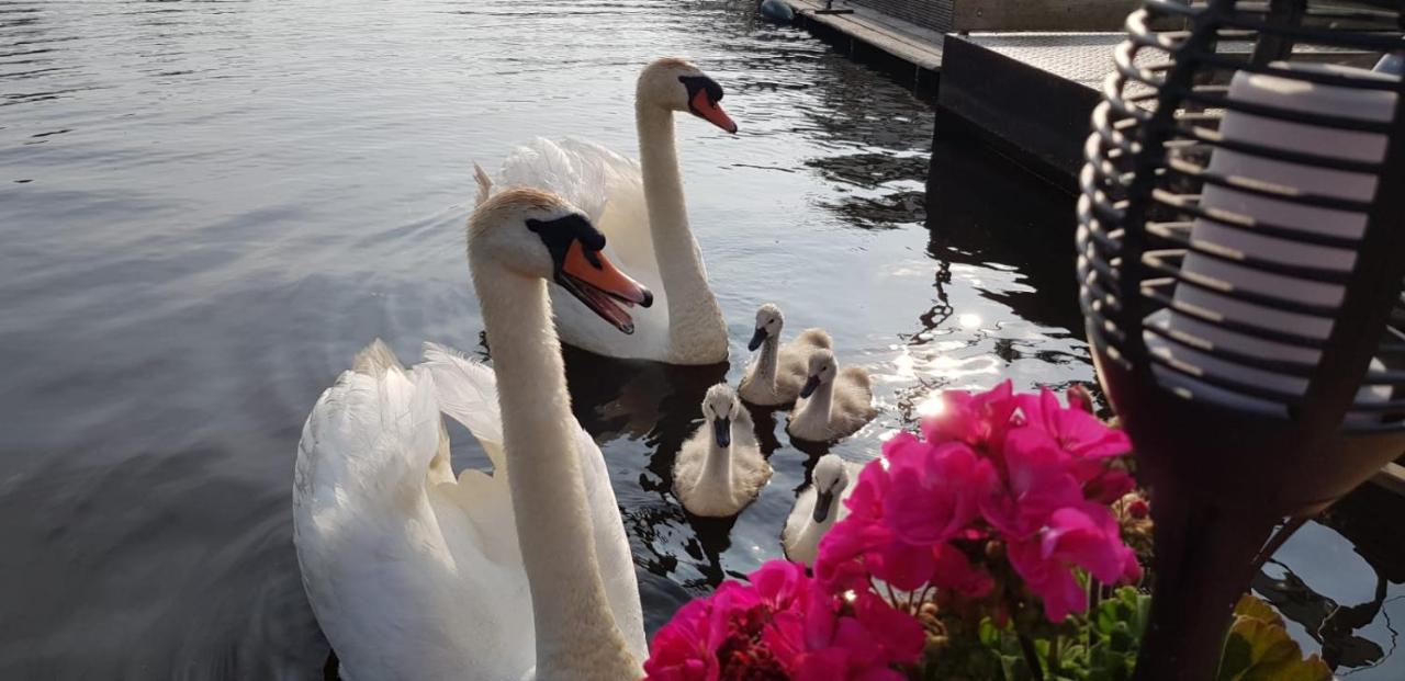 Out Of Amsterdam, River Apartment Close To City Broek in Waterland Bagian luar foto