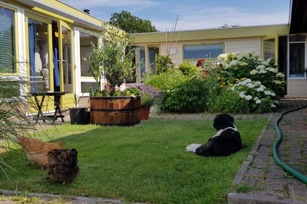 Out Of Amsterdam, River Apartment Close To City Broek in Waterland Bagian luar foto