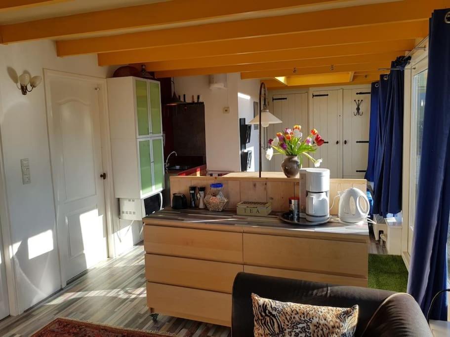 Out Of Amsterdam, River Apartment Close To City Broek in Waterland Bagian luar foto