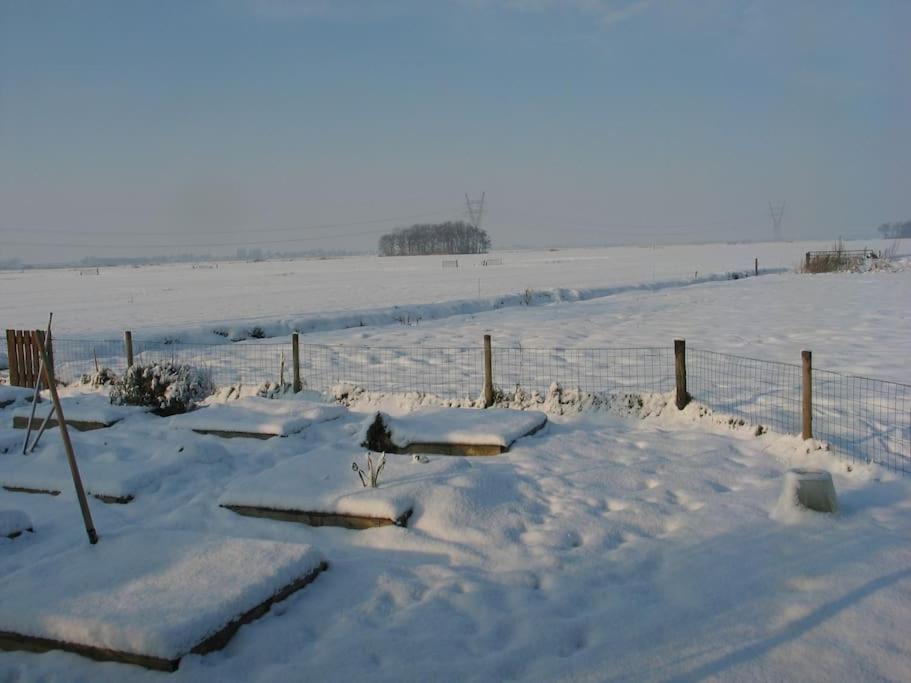 Out Of Amsterdam, River Apartment Close To City Broek in Waterland Bagian luar foto